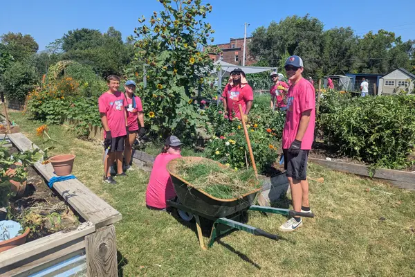 Volunteers working in a community garden with a wheelbarrow