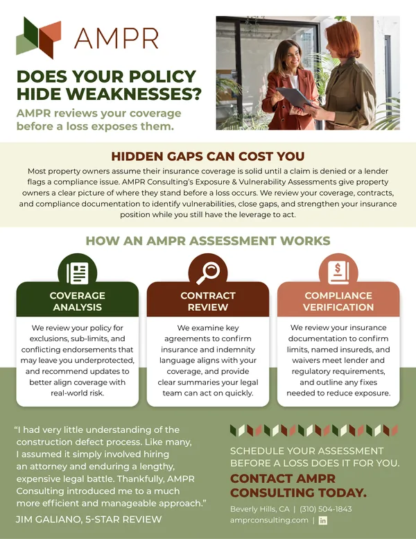 Sell sheet designed for AMPR Consulting