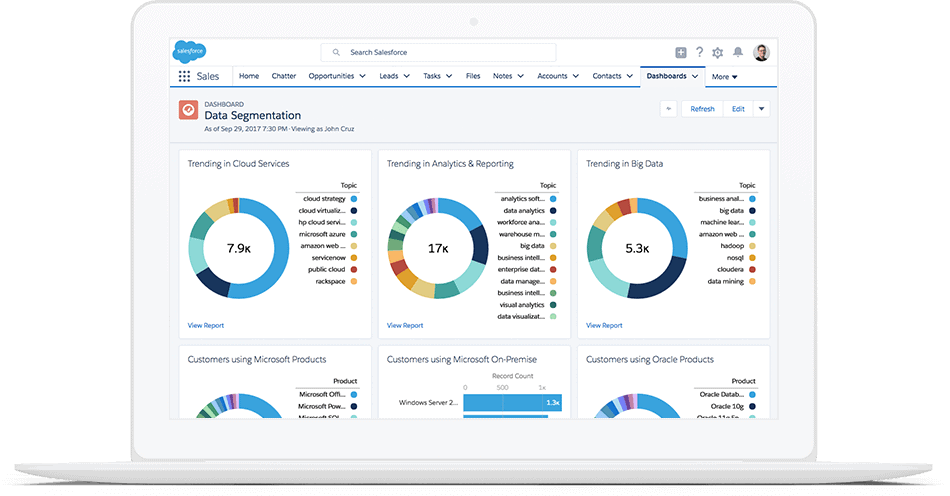 salesforce consulting partner data segmentation