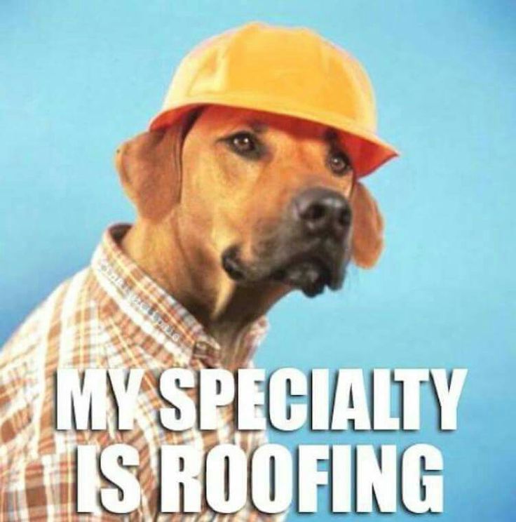 My specialty is roofing.